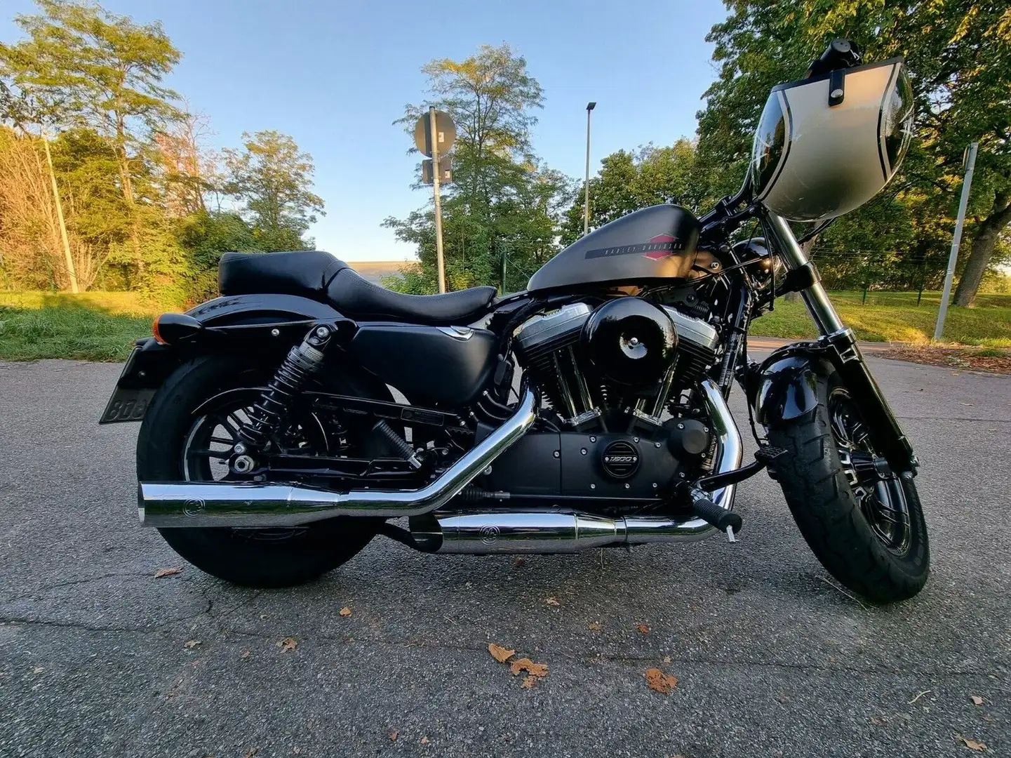Harley-Davidson Sportster 1200 XL Forty-Eight Gri - 1