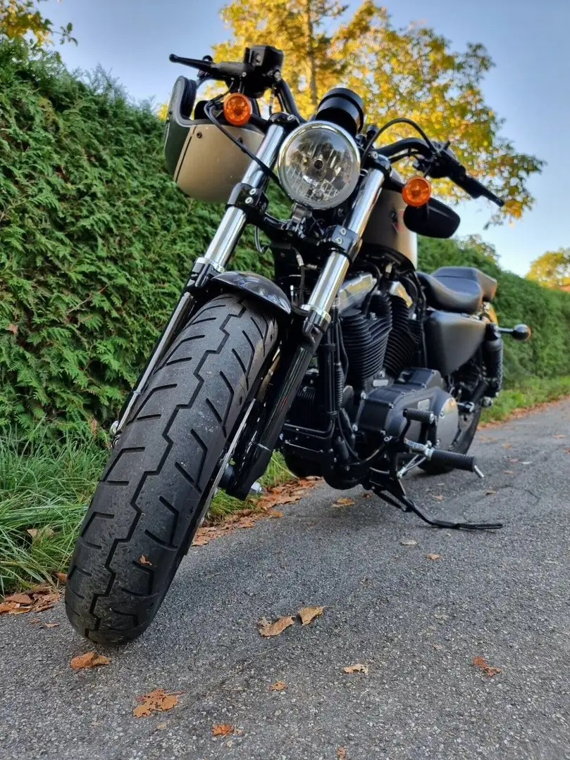 Harley-Davidson Sportster 1200 XL Forty-Eight Gri - 2