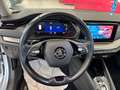 Skoda Octavia 2.0 TDI EVO SCR 150 CV DSG Executive Grau - thumbnail 10