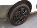 Ford Grand Tourneo GRAND TOURNEO/TRANSIT +7 SITZER +AHK+TOPZUSTAND Blanc - thumbnail 15