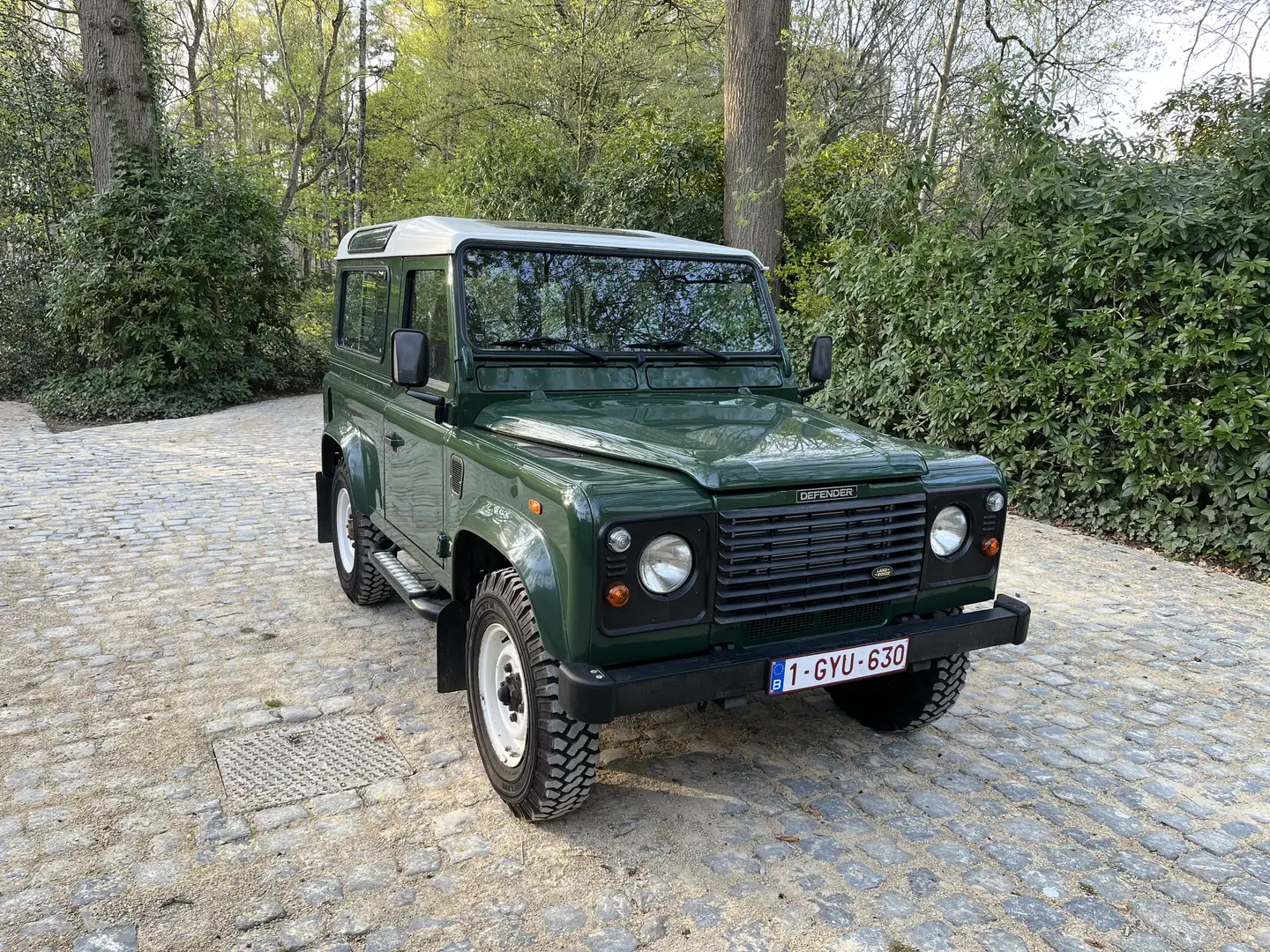 Land Rover Defender Landrover Defender 90 TD5 Coniston groen Verde - 1