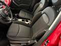 Fiat 500X 500X 1.6 e-torq Urban 4x2 110cv Rouge - thumbnail 12