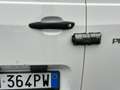 Toyota Proace City Proace City 1.5D 100 CV S&S PL 4p. Comfort Blanc - thumbnail 10