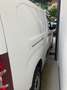 Citroen Berlingo 1.5 BlueHDI 100CV Club XL Weiß - thumbnail 4