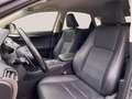 Lexus NX 300h Executive Line +Cam+Premium Na Gris - thumbnail 7