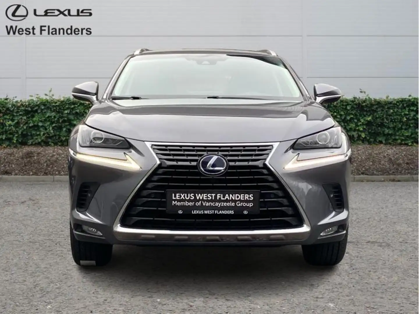 Lexus NX 300h Executive Line +Cam+Premium Na Grijs - 2