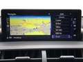 Lexus NX 300h Executive Line +Cam+Premium Na Grey - thumbnail 11