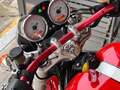 Ducati 1000 Sport Monoposto Rouge - thumbnail 13