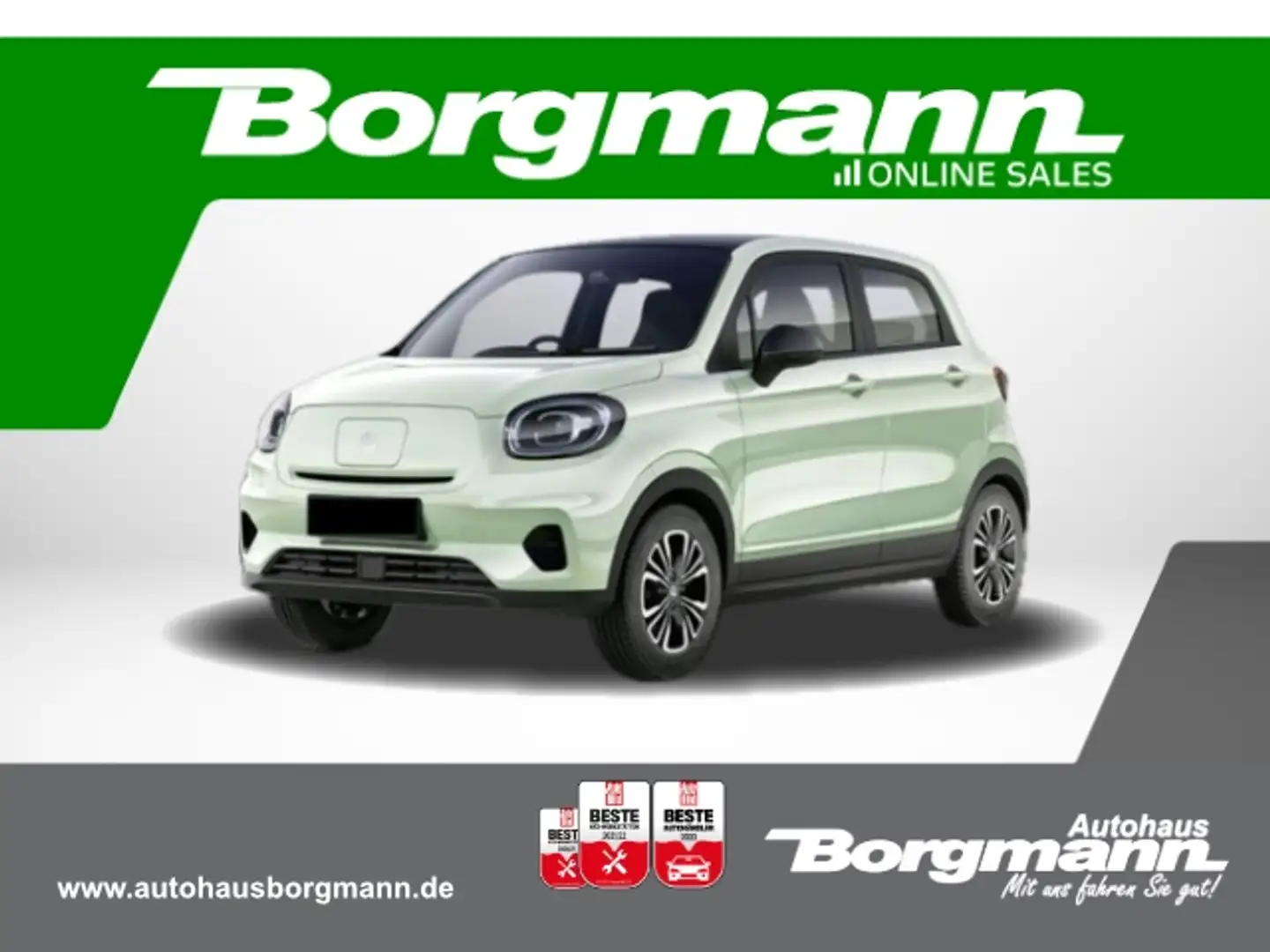 Leapmotor T03 NAVI - PANORAMADACH - ALU - PARKHILFE Vert - 1