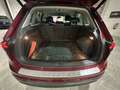 Volkswagen Tiguan 1.4 TSI Sport 4Motion DSG 110kW Rouge - thumbnail 6