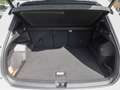 Volkswagen Tiguan 1.5 eTSI DSG Goal ACC AUT EL.HECK FLA HUD Weiß - thumbnail 9