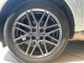 smart forTwo 0.9 90CV PACK BRABUS PASSION PANO LED Wit - thumbnail 10