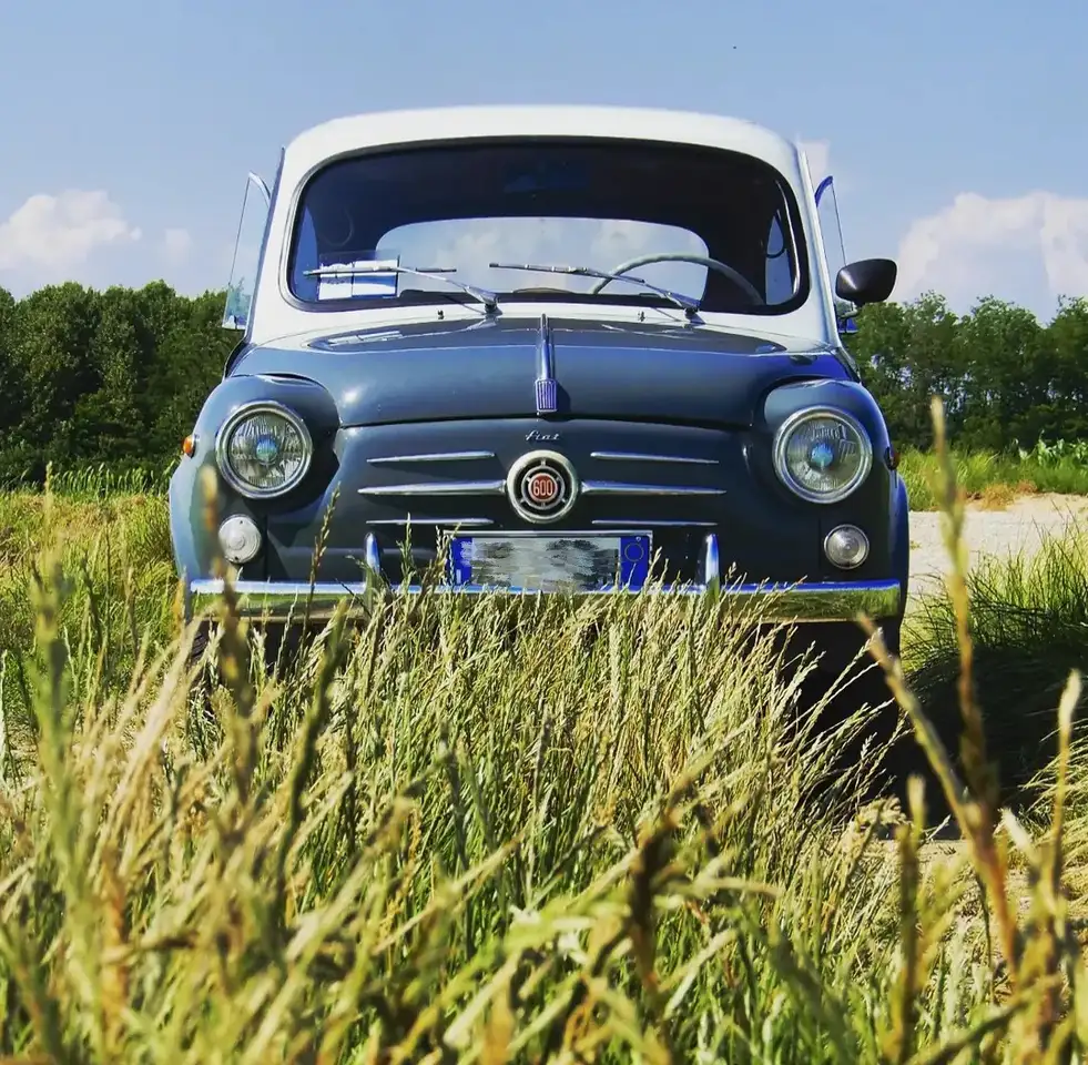 Fiat 600 D, foto 2