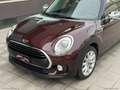 MINI Cooper Clubman Mini Cooper D Business Clubman Aut. Фіолетовий - thumbnail 8