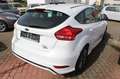 Ford Focus 1,0 EcoBoost 92kW ST-Line Weiß - thumbnail 3