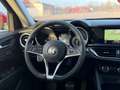 Alfa Romeo Stelvio Q4 2.2 - ALLRAD - MEGA Ausstattung - TOP - Rot - thumbnail 33