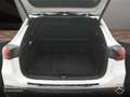 Mercedes-Benz EQA 350 4M PROG+PLUS-PAKET+AHK+PANO+360+MEMORY Weiß - thumbnail 17