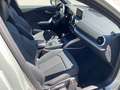 Audi Q2 35 TFSI S line S tronic S Line 18/PELLE/MATRIX/ACC Argento - thumbnail 9