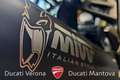 Ducati Monster 1200 Monster 1200 solo 20.597 km Rot - thumbnail 16