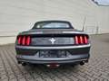 Ford Mustang 3.7i V6 Automatik | Keyless | Klimatronic | Gris - thumbnail 17