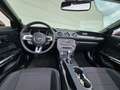 Ford Mustang 3.7i V6 Automatik | Keyless | Klimatronic | Gris - thumbnail 8