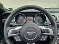 Ford Mustang 3.7i V6 Automatik | Keyless | Klimatronic | Gris - thumbnail 14