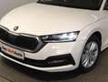 Skoda Octavia Ambition TDI Weiß - thumbnail 2