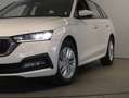 Skoda Octavia Ambition TDI Weiß - thumbnail 10