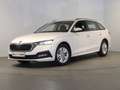 Skoda Octavia Ambition TDI Weiß - thumbnail 1