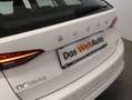 Skoda Octavia Ambition TDI Weiß - thumbnail 33