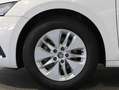 Skoda Octavia Ambition TDI Weiß - thumbnail 6