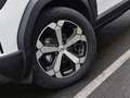 Dacia Duster Journey TCe 130 City-P. NAVI SHZ PDC Weiß - thumbnail 10