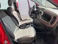Fiat Panda 1.3 mjt 16v Cross 4x4 80cv Rosso - thumbnail 12