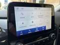 Ford Puma 1.5 tdci ecoblue Titanium 120cv Blau - thumbnail 15