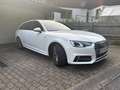 Audi A4 A4 Avant 3x S line  2,0 TDI  S-tronic Weiß - thumbnail 3