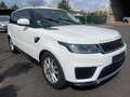 Land Rover Range Rover Sport SE, Luft, SSD, VOLL Weiß - thumbnail 4