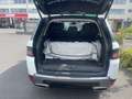 Land Rover Range Rover Sport SE, Luft, SSD, VOLL Weiß - thumbnail 15