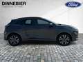 Ford Puma ST-Line X LED+Navi+Kamera+Winterpaket Gris - thumbnail 8