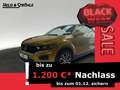 Volkswagen T-Roc Style 1.5 TSI DSG AHK LED NAV Gelb - thumbnail 1
