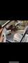 Maserati Levante S Q4 GranSport - thumbnail 12