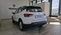 SEAT Arona 1.0 TSI Ecomotive S&S Style 110 Weiß - thumbnail 5