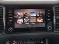 Skoda Kodiaq Scout 4x4 Anhängerkupplung, LED, NAVI, Kamera Blauw - thumbnail 22