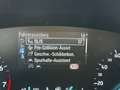 Ford Focus 1,0 EcoBoost ST-Line Blau - thumbnail 16