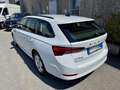 Skoda Octavia 2.0 TDI EVO SCR DSG Wagon Executive "NAVI"FULL LED Bianco - thumbnail 4
