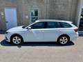 Skoda Octavia 2.0 TDI EVO SCR DSG Wagon Executive "NAVI"FULL LED Bianco - thumbnail 3