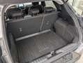 Ford Puma Titanium 1.0 i 125cv mHEV - Garantie 12 mois Gris - thumbnail 10