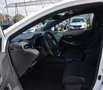 Suzuki Swace Swace 1,8 HEV E-CVT Shine LED KAMERA 1.BESITZ Weiß - thumbnail 5
