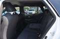 Suzuki Swace Swace 1,8 HEV E-CVT Shine LED KAMERA 1.BESITZ Weiß - thumbnail 16