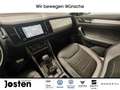 Skoda Kodiaq 2.0 TDI Tour 4x4 MATRIX NAVI ACC DCC AHK Bleu - thumbnail 14