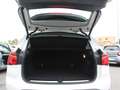 BMW X1 sdrive18d Msport Bianco - thumbnail 15